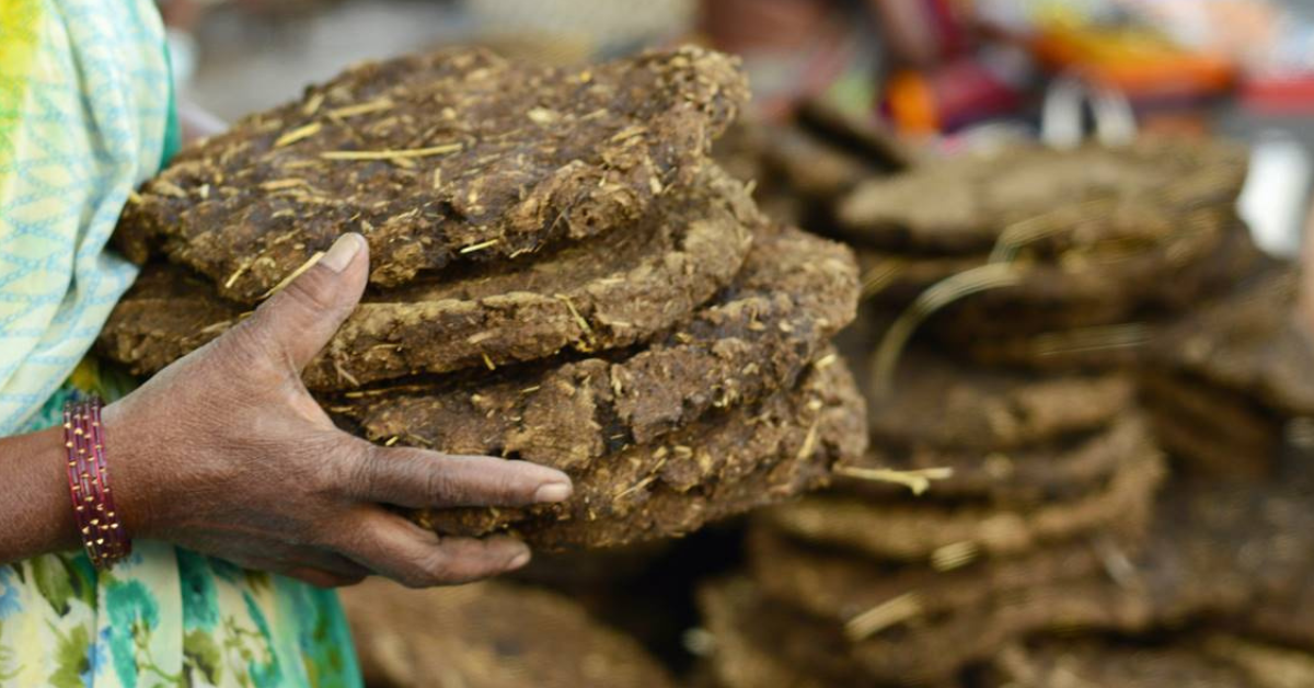 Indian Farming Traditions Urban Gardeners Should Know