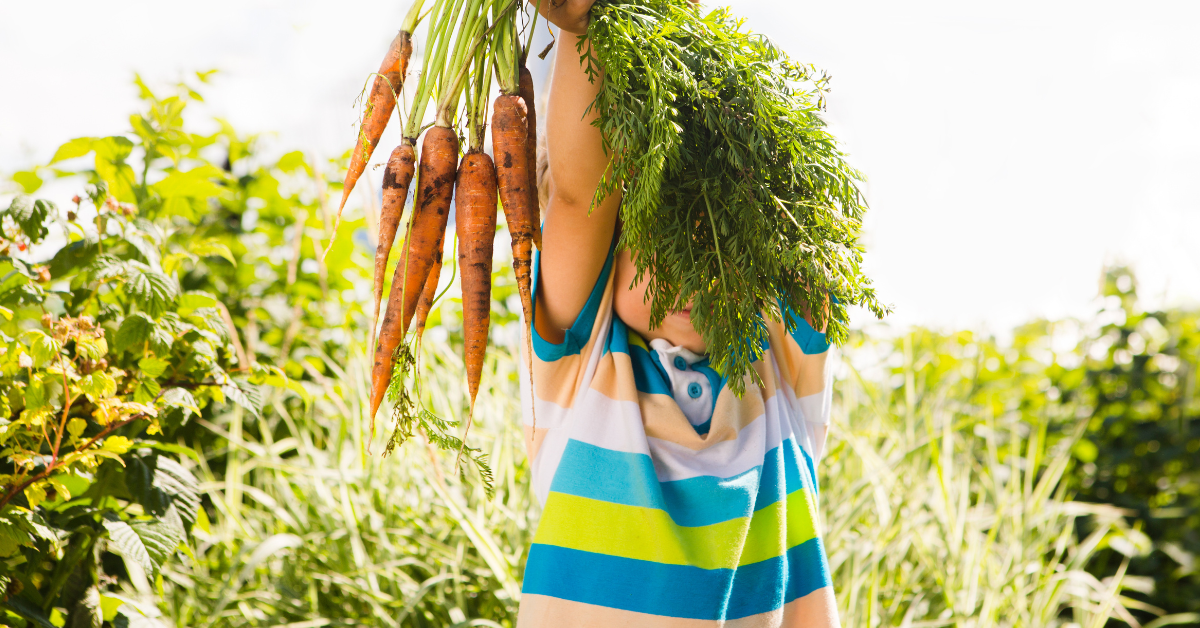 Easy Gardening Ideas for Kids Easy Gardening Ideas for Kids