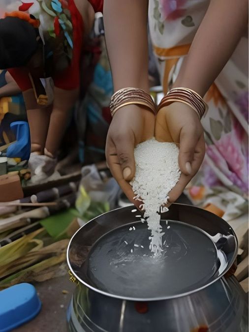 7 Harvest Festivals Across India That Celebrate Food, Farming, and Seasonal Change