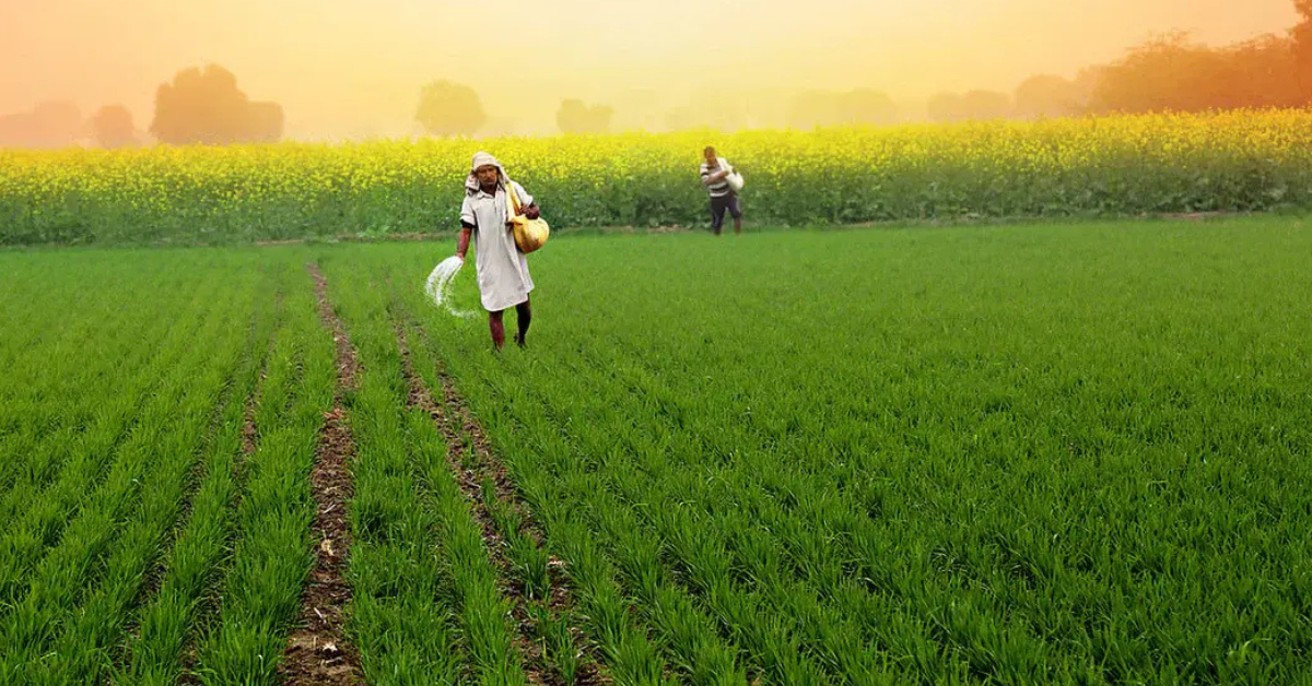 How Farmers Can Grow Stronger Rabi Crops While Saving Water & Soil