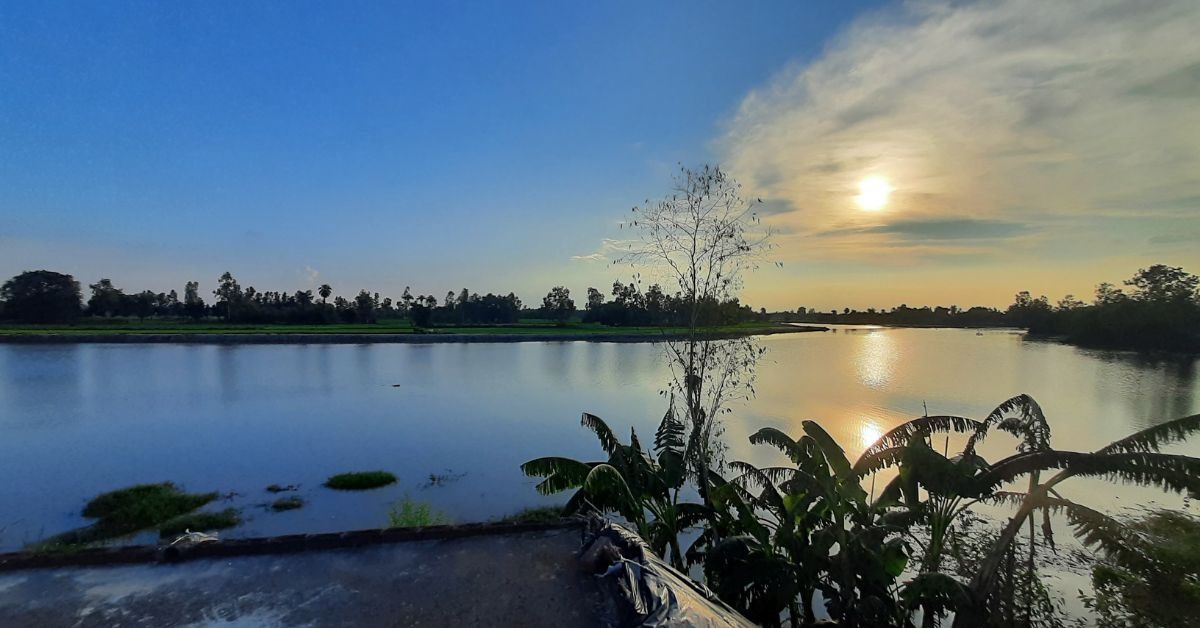 How 1200 People Came Together to Protect India’s Wetlands