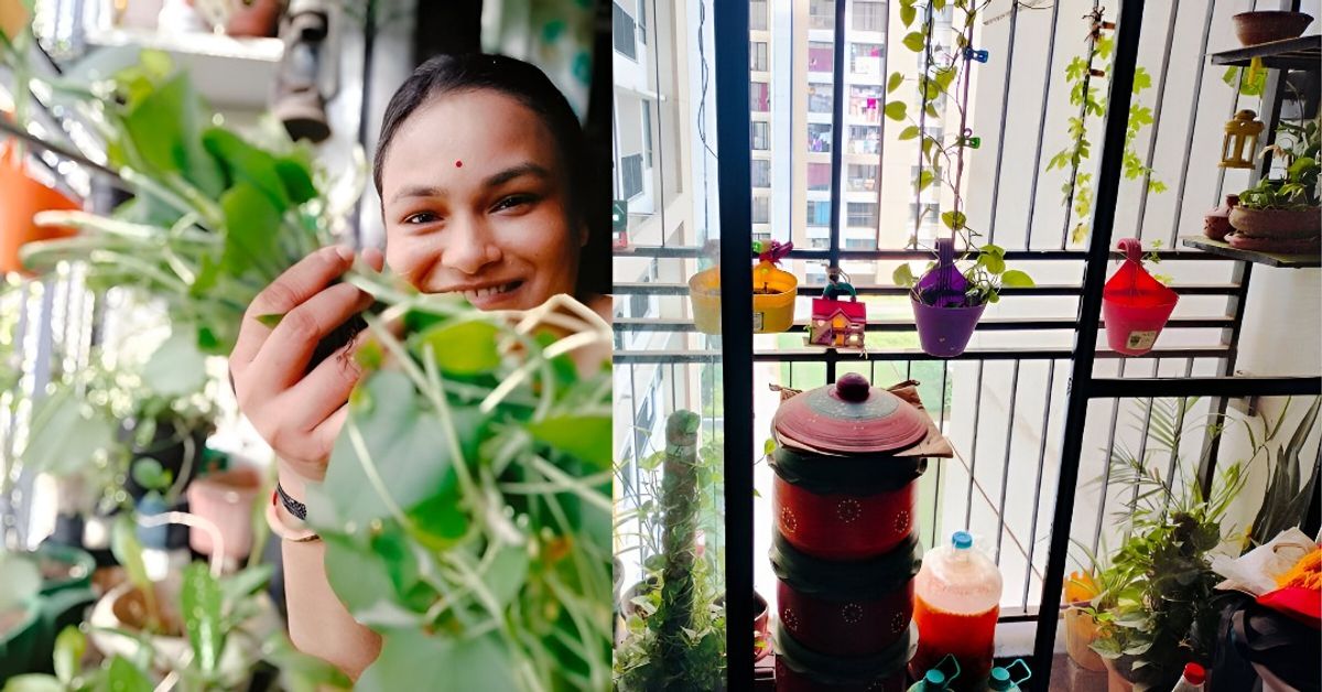 In Dombivli, a 38-YO Woman’s 400-Sq-Ft Balcony Is Home to 70+ Plants, Sparrows & Butterflies