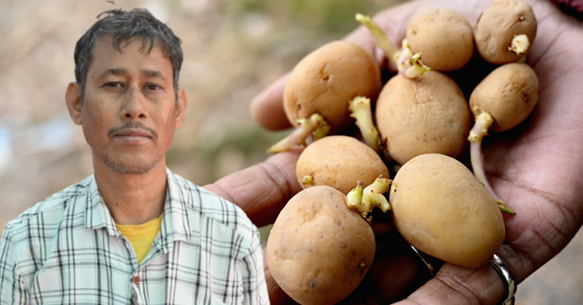 This Hooghly Farmer Built a Rs 30 Lakh Potato Seed Business Supporting 150 Farms This Hooghly Farmer Built a Rs 30 Lakh Potato Seed Business Supporting 150 Farms