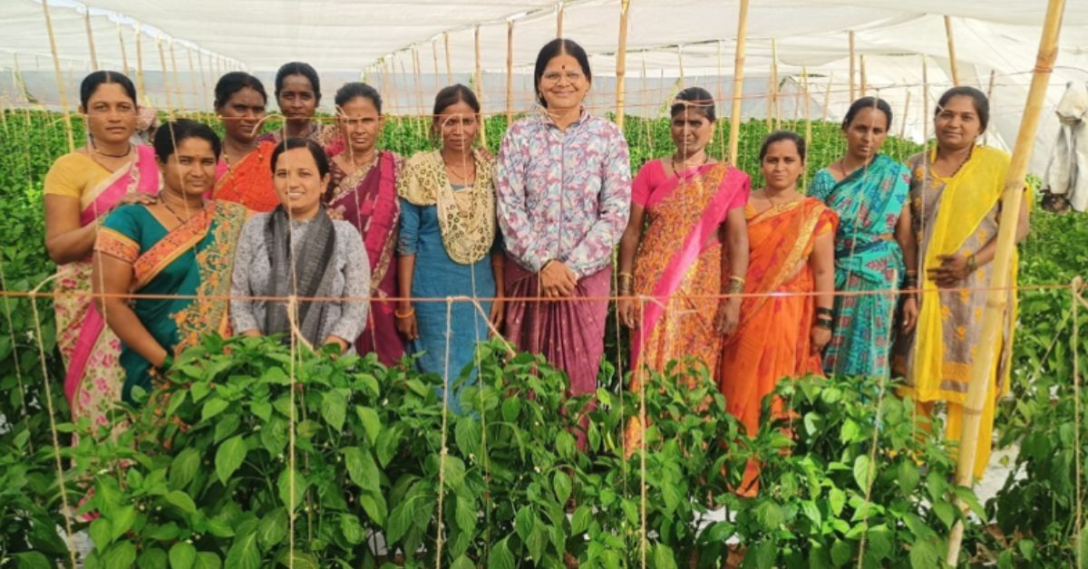 Help Women Farmers in Maharashtra Get Solar Dehydrators