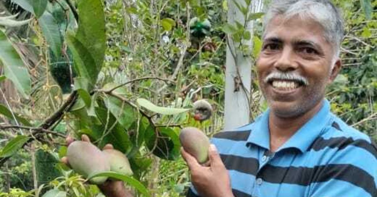 Udupi Man Grows Rare Fruits on Terrace Udupi Man Grows Rare Fruits on Terrace