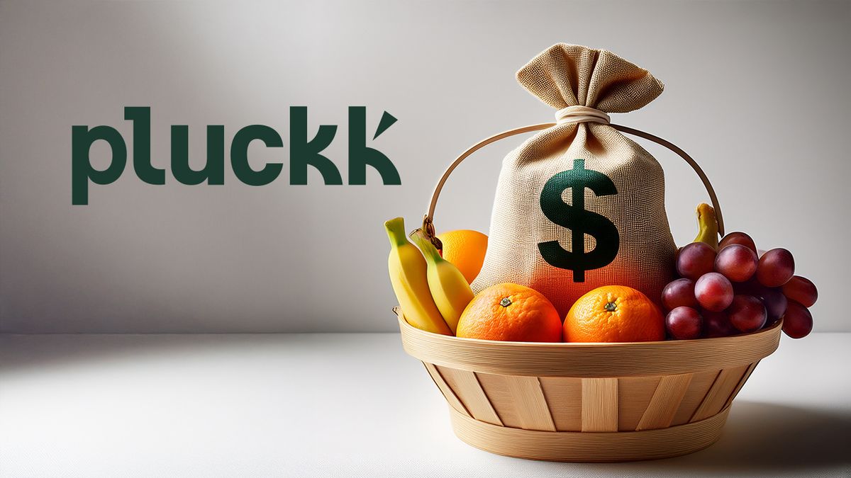 Exclusive: Pluckk set to raise Rs 100 Cr from Euro Gulf Investment