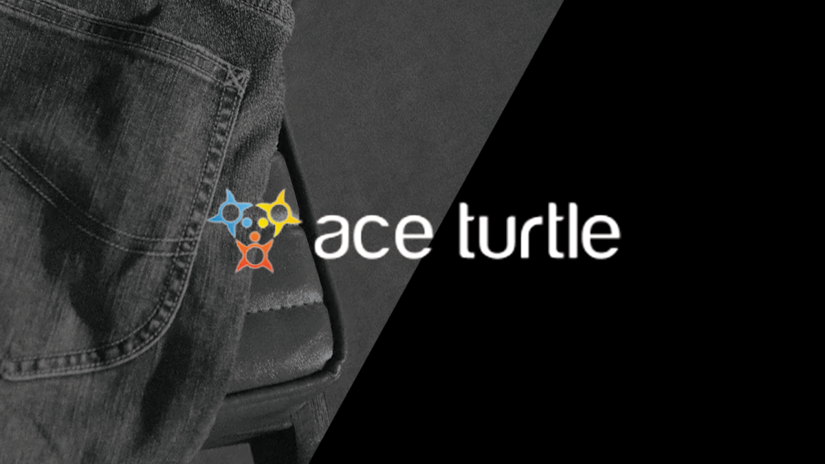 Ace Turtle raises $5 Mn in bridge round led by Vertex Holdings