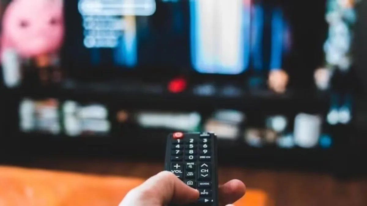 afaqs.com - afaqs! news bureau - Over 50 TV channels surrender licences as OTT viewing rises