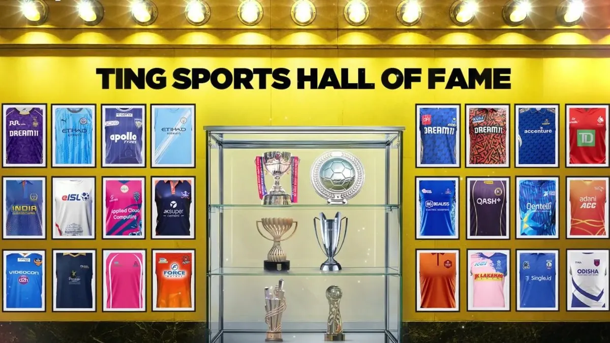 afaqs.com - afaqs! news bureau - ting launches sports marketing vertical ting Sports