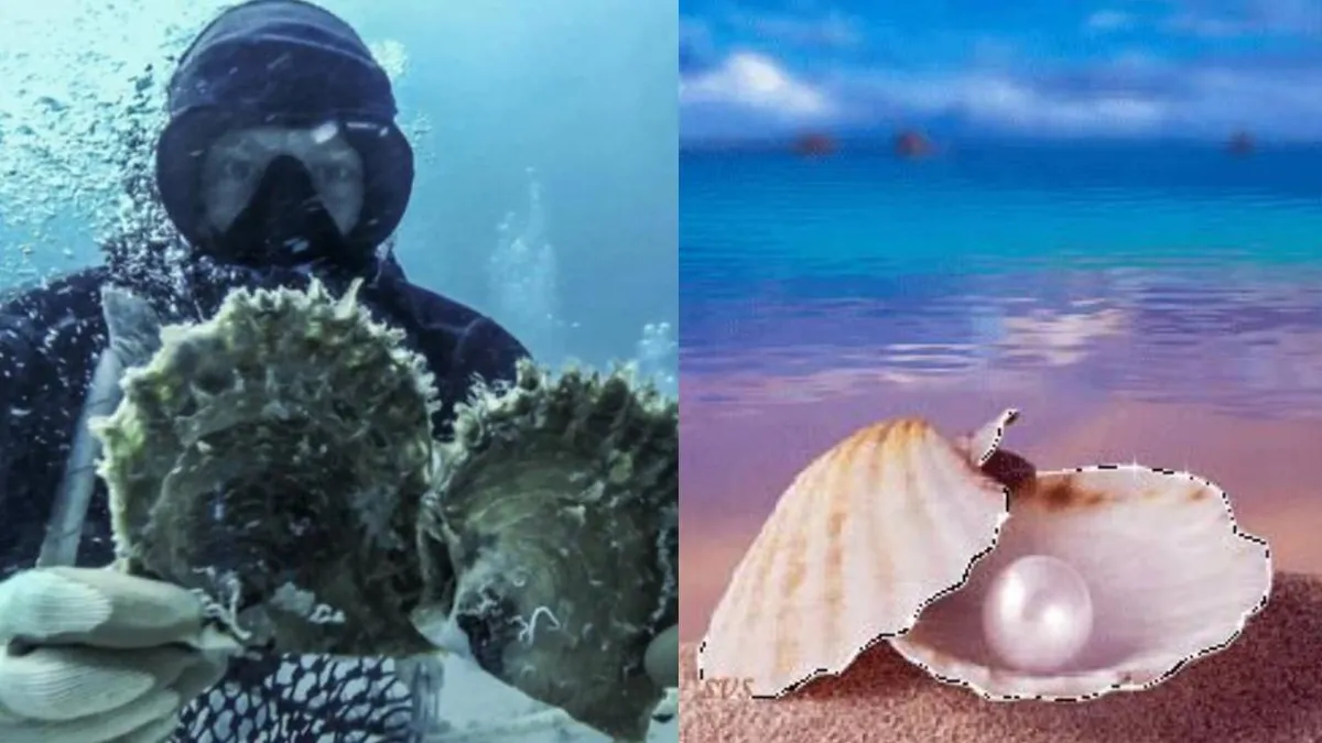 समुद्र के अंदर कैसे बनता है कीमती मोती? जानें इसके पीछे का राज