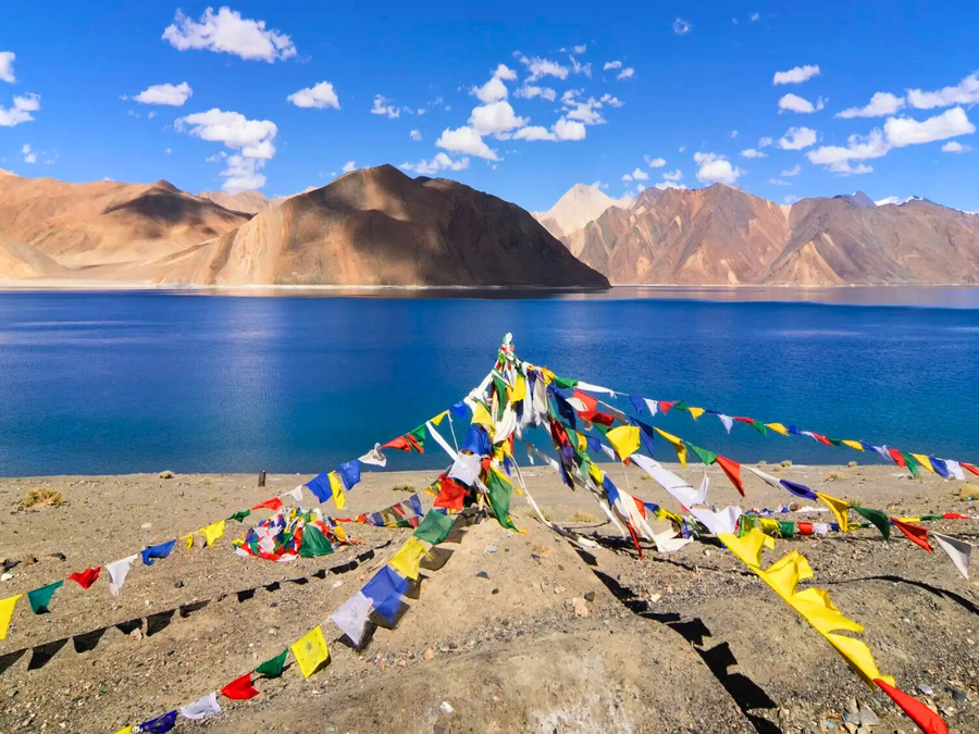 Airtel becomes first private telco to bring network to Ladakh’s remote Man and Merak villages