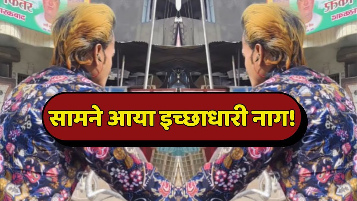अचानक जब बीच सड़क पर सामने आ गया इच्छाधारी नाग, ऐसा था लोगों का रिएक्शन