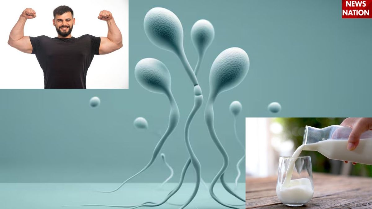Sperm quality: बेहतर स्पर्म क्वालिटी के लिए पुरुष रोज रात को दूध में मिलाकर इस चीज का करें सेवन