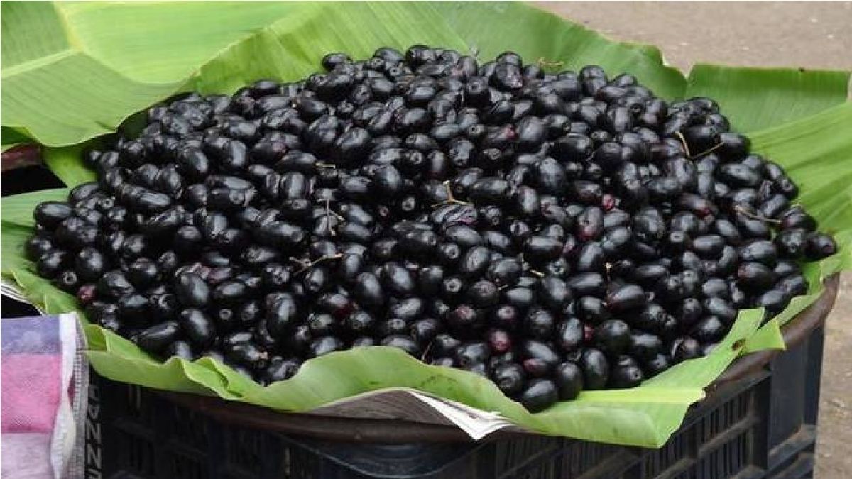 इन चीजों के साथ भूलकर भी न खाएं जामुन, नहीं तो पड़ जाएंगे लेने के देने