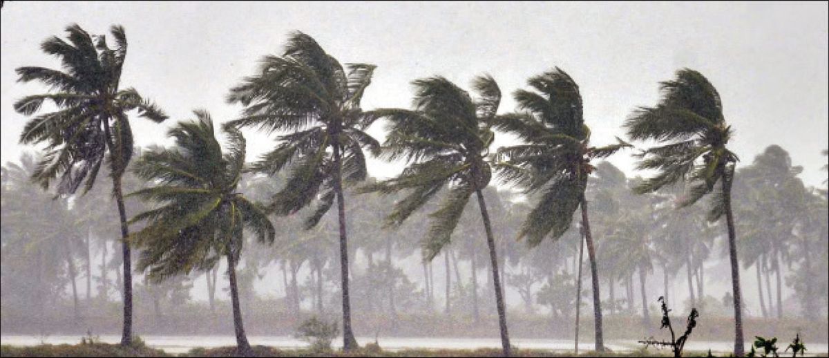 ସଅଳ ମୌସୁମୀ ପ୍ରତିକୂଳ ପ୍ରଭାବ ପକାଇପାରେ