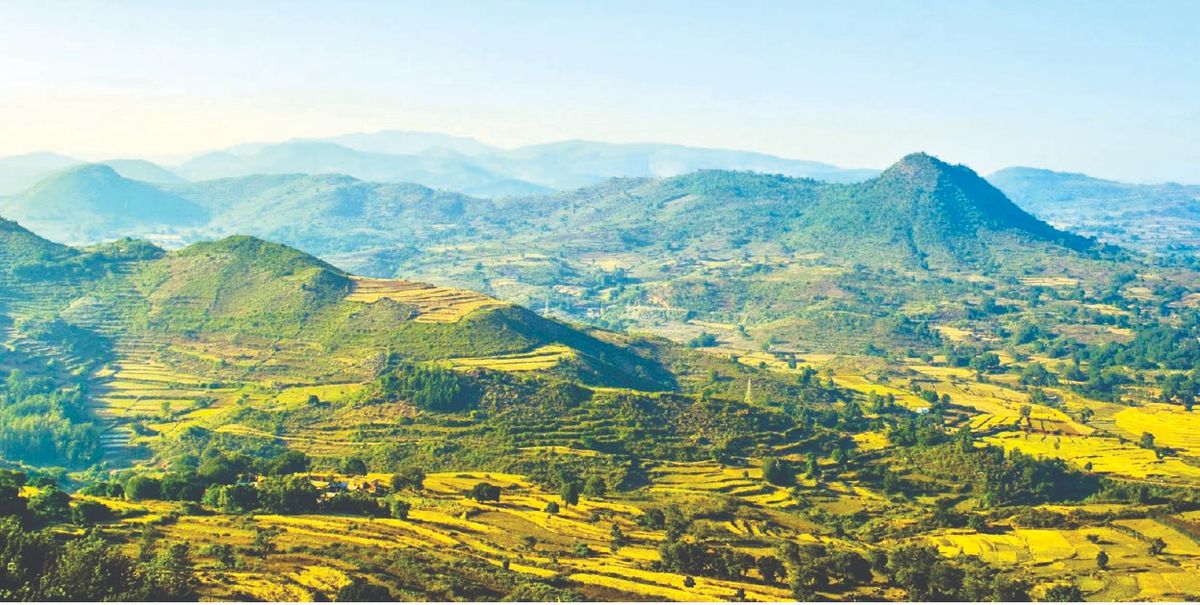 Eastern Ghats mountains: ପୂର୍ବଘାଟ ପର୍ବତମାଳାରେ ବଢୁଛି ବିପଦ