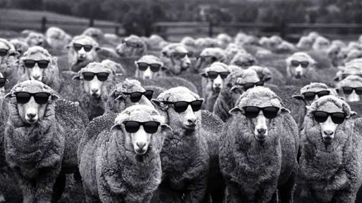 Templatization: Does the art of standing out mean not standing out?