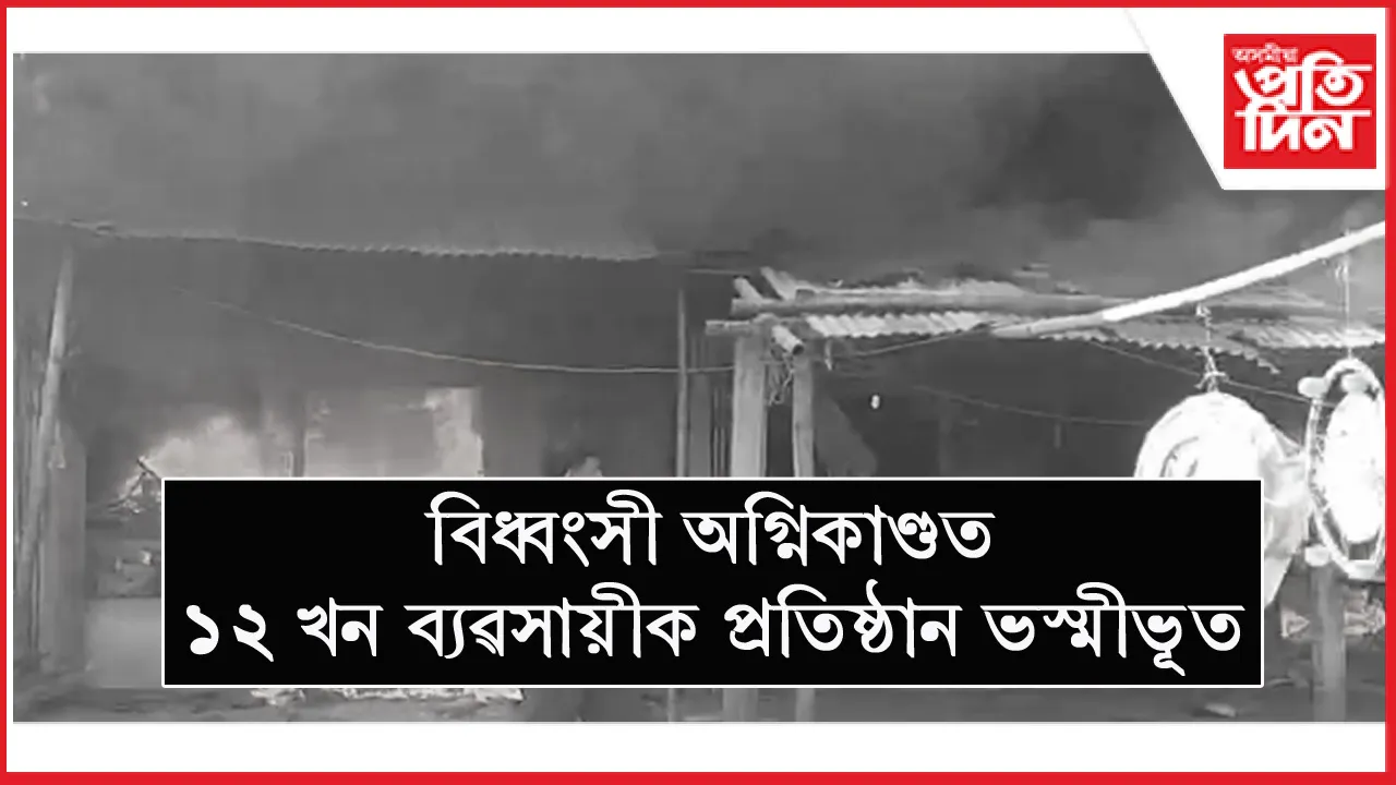 বিধ্বংসী অগ্নিকাণ্ড