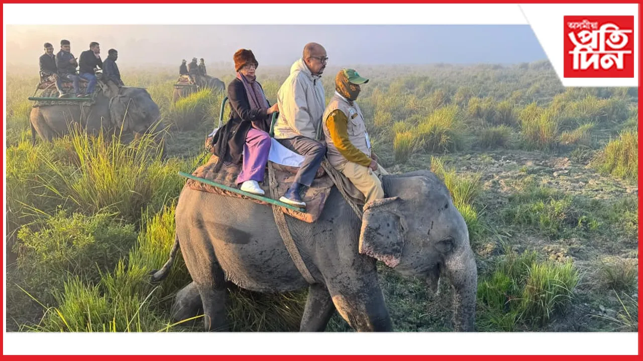 আঘোণৰ কুঁৱলী ফালি কাজিৰঙাত হাতী ছাফাৰী ছত্তীশগড়ৰ ৰাজ্যপাল ৰমেন ডেকাৰ