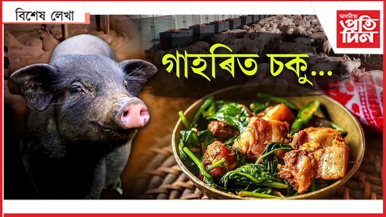 বেংককৰ কোম্পানী আহিব অসমত গাহৰি পুহিবলৈ...