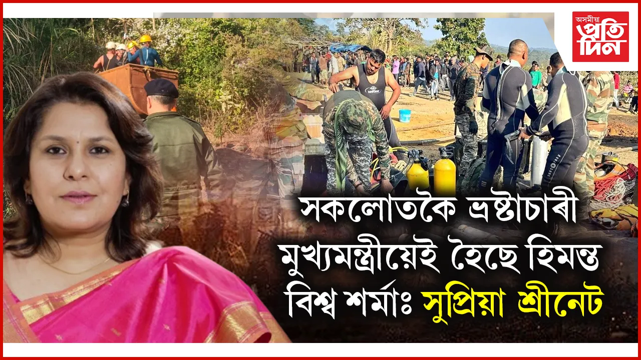 নৱনৱনৱ