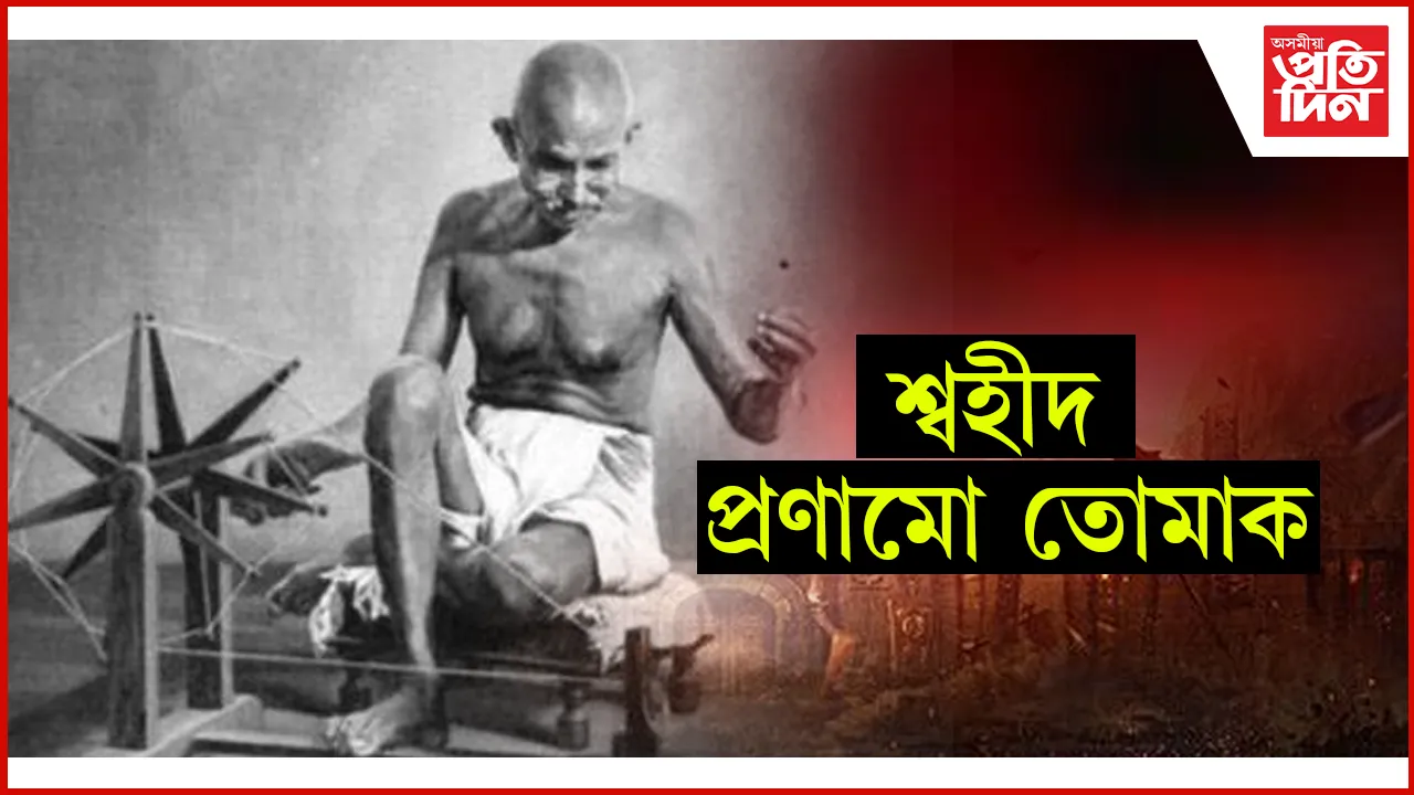 িুিিুি
