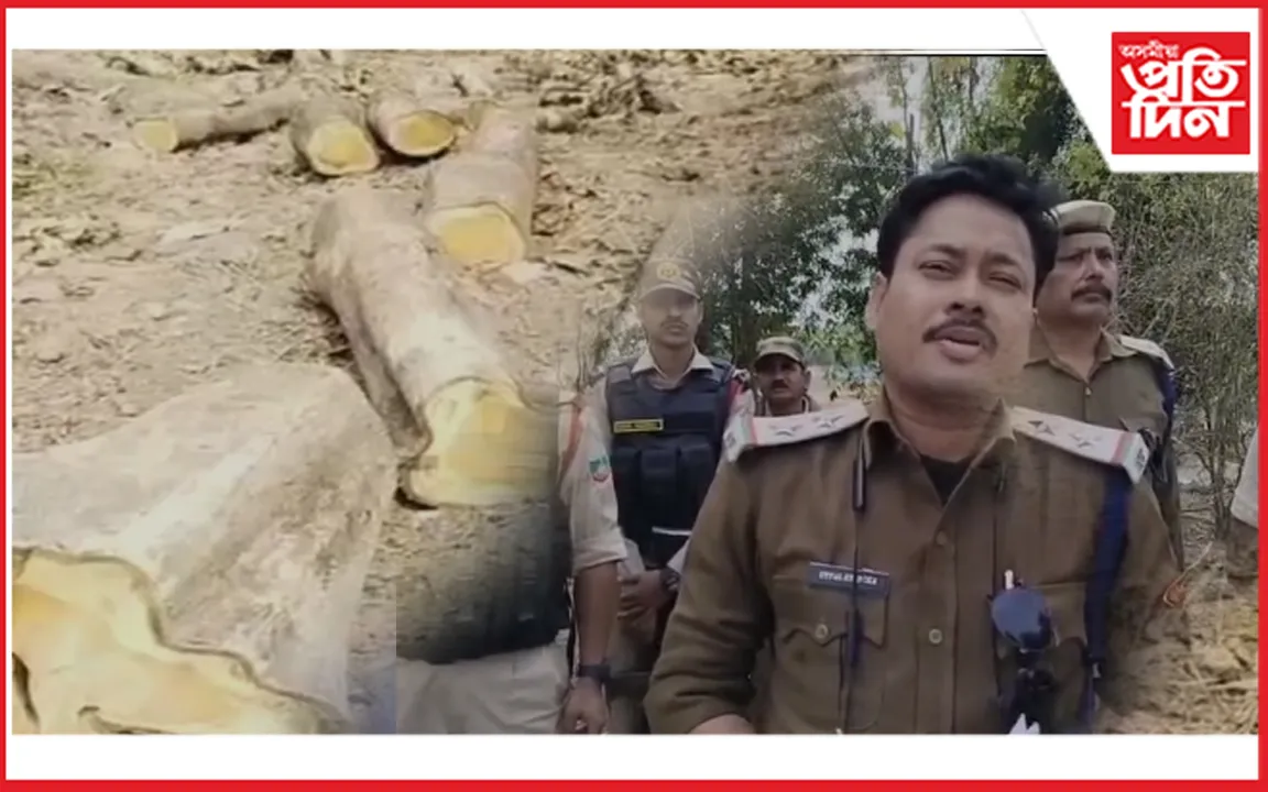 লংকাত পুনৰ জব্দ হৈছে চেগুন গছৰ কুণ্ডা