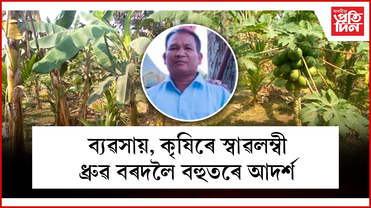 নিবনুৱা যুৱক, কৃষকৰ বাবে আদৰ্শ দাঙি ধৰিছে কাৰ্বি আংলঙৰ ধ্ৰুৱ বৰদলৈয়ে   