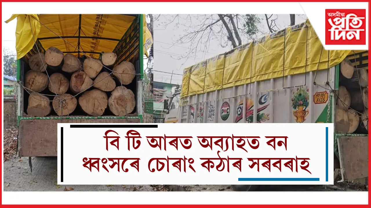 চিৰাঙৰ ছামথাইবাৰীৰ ৰাষ্ট্ৰীয় ঘাইপথত বৃহৎ পৰিমাণৰ চোৰাং কাঠ ভৰ্তি ট্ৰাক জব্দ...