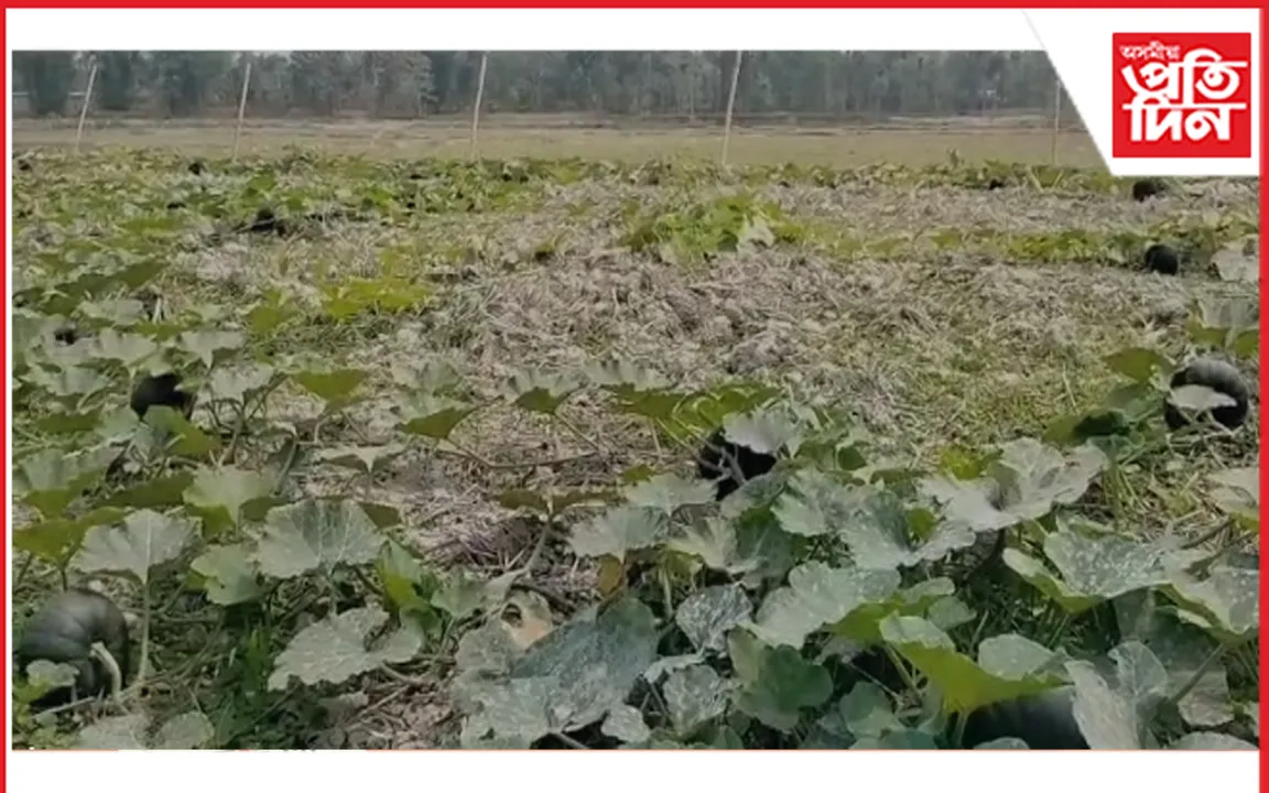 স্বাৱলম্বিতাৰ নিদৰ্শন