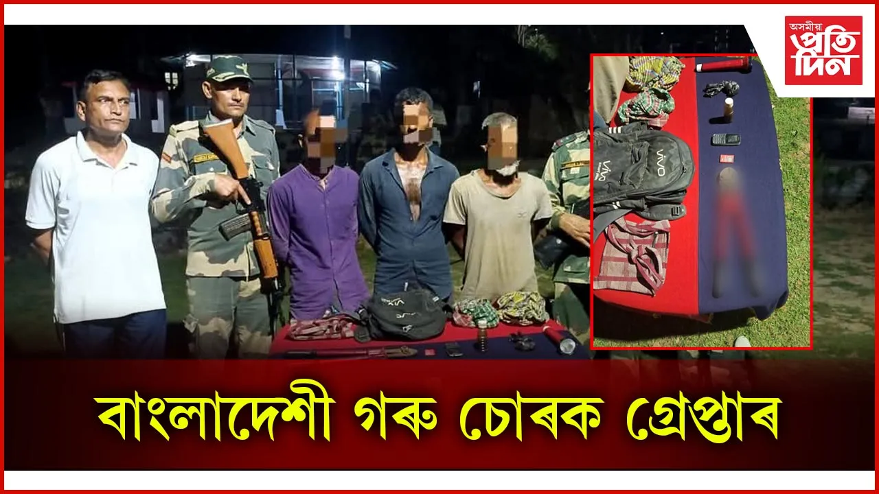 বাংলাদেশী গৰু চোৰক গ্ৰেপ্তাৰ