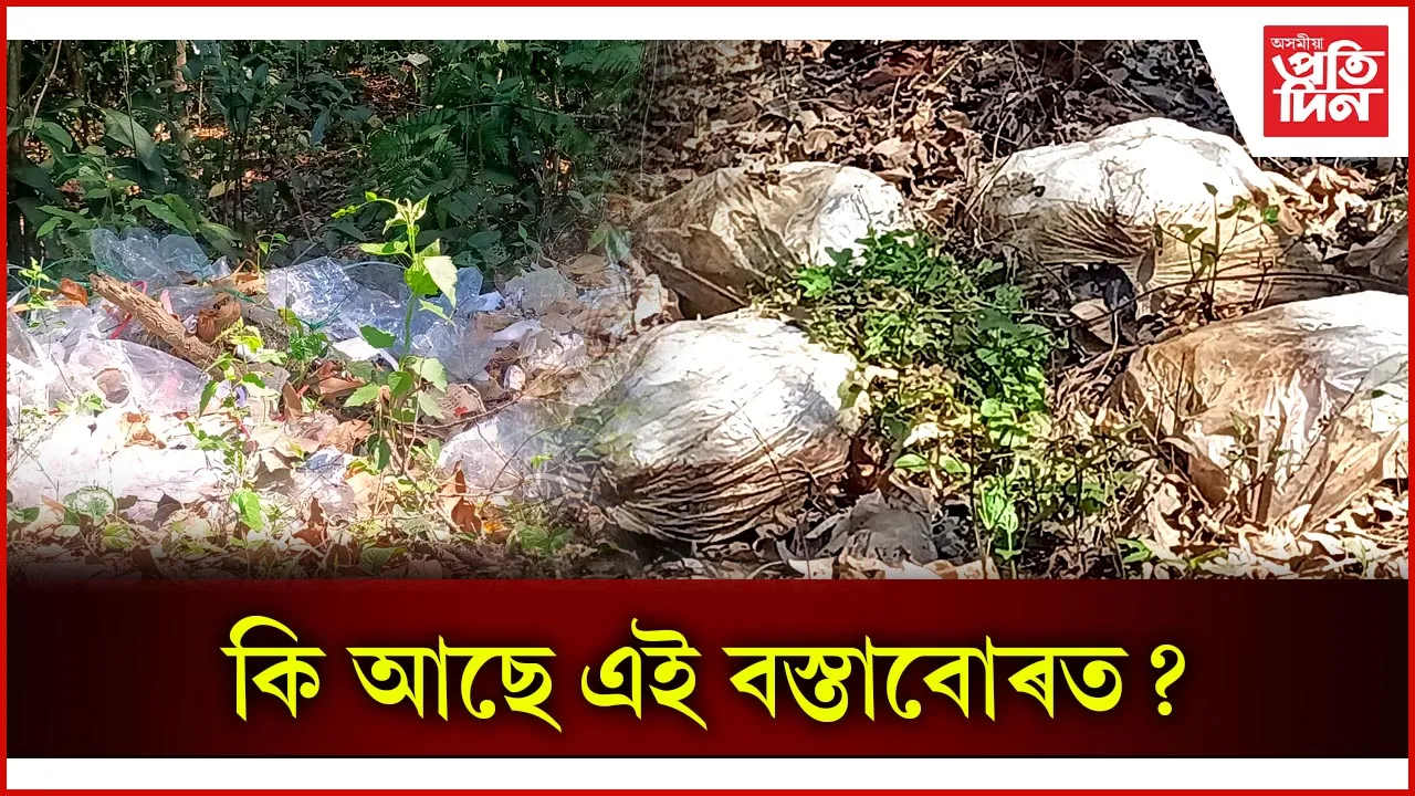কি আছে এই বস্তাবোৰত?