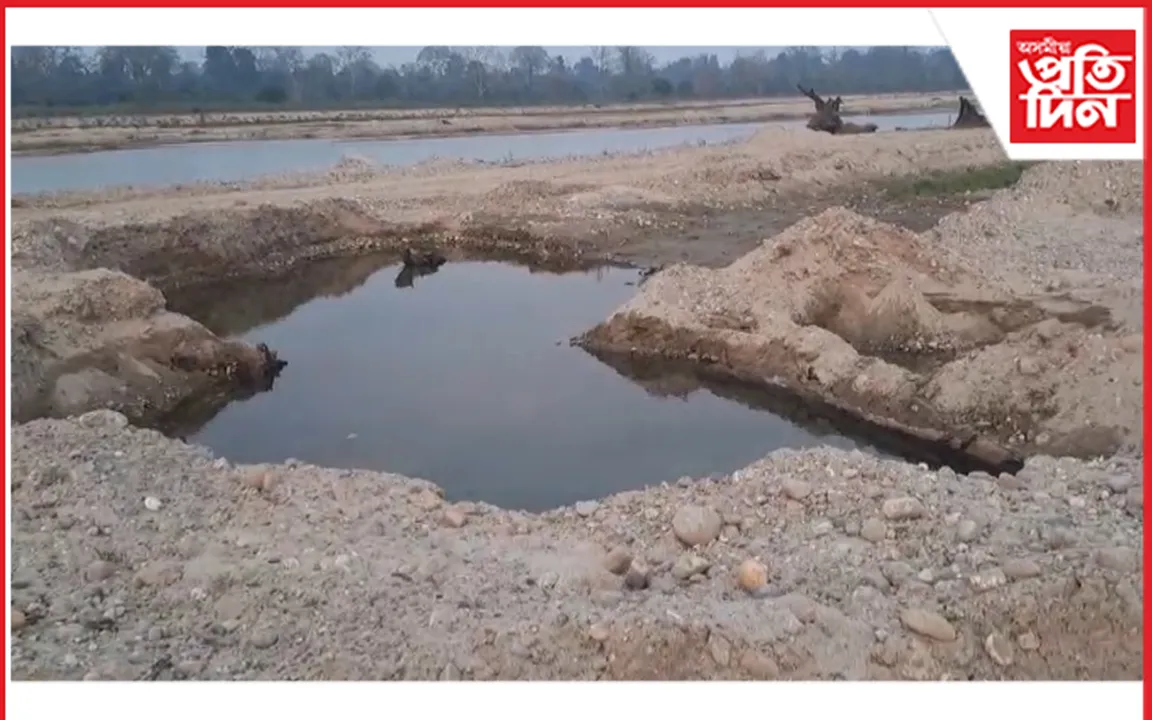 বন মাফিয়াৰ দৌৰাত্ম্য