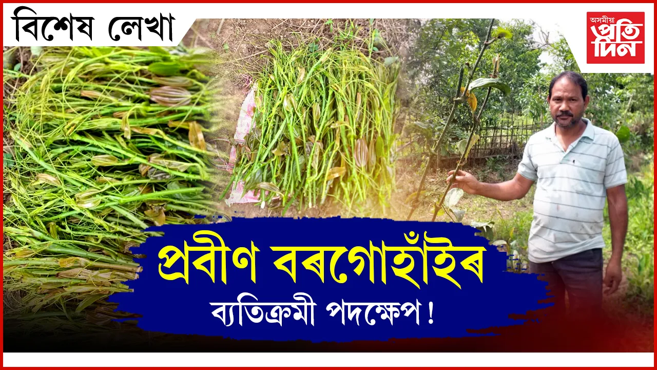 প্ৰবীণ