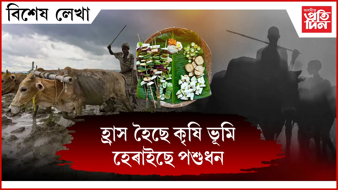 এই ব’হাগতেই হওঁক সকলো সংশয়ৰ অৱসান...