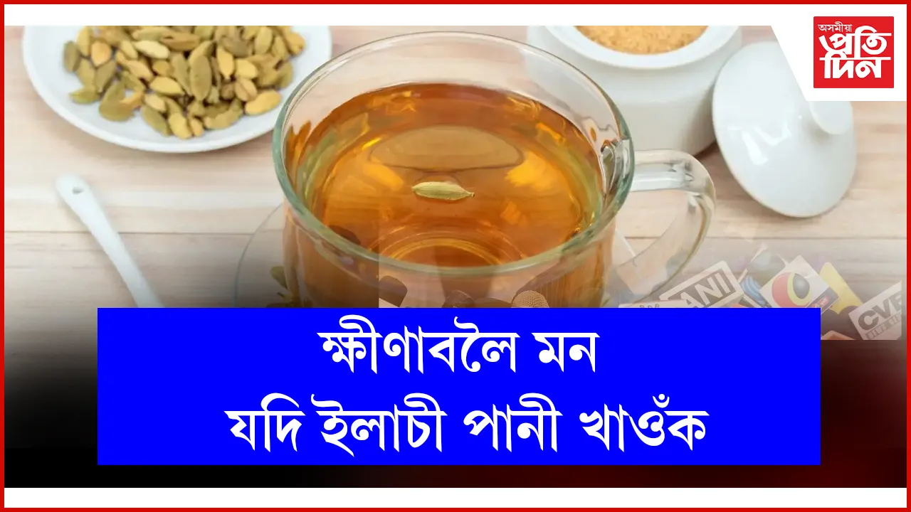 ৮৮৮৮৮৮৮৮৮৮৮৮৮৮৮৮৮