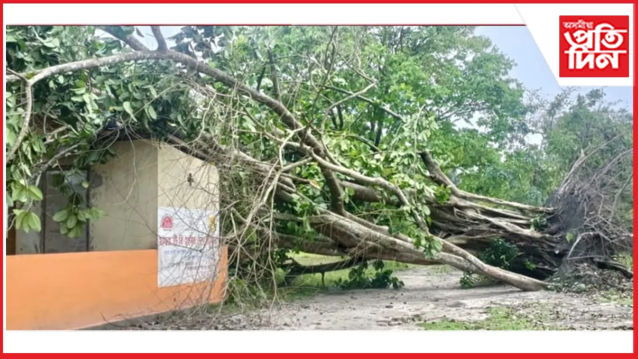  সোণাৰি চাপৰিত ধুমুহা  বিধ্বস্ত ১২ লাখ ব্যয়সাপেক্ষে নিৰ্মাণ কৰা চিকিৎসালয়