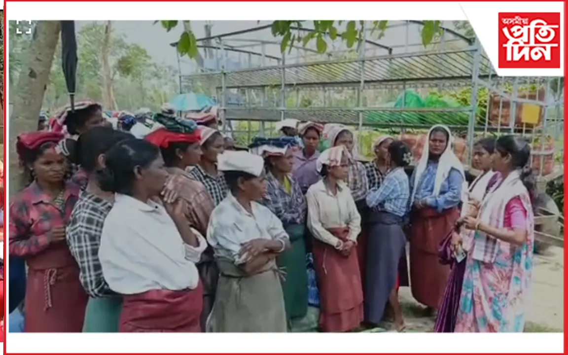 ৰঙাপৰাত তুংগত উঠিছে পঞ্চায়ত নিৰ্বাচনৰ প্ৰচাৰ অভিযান