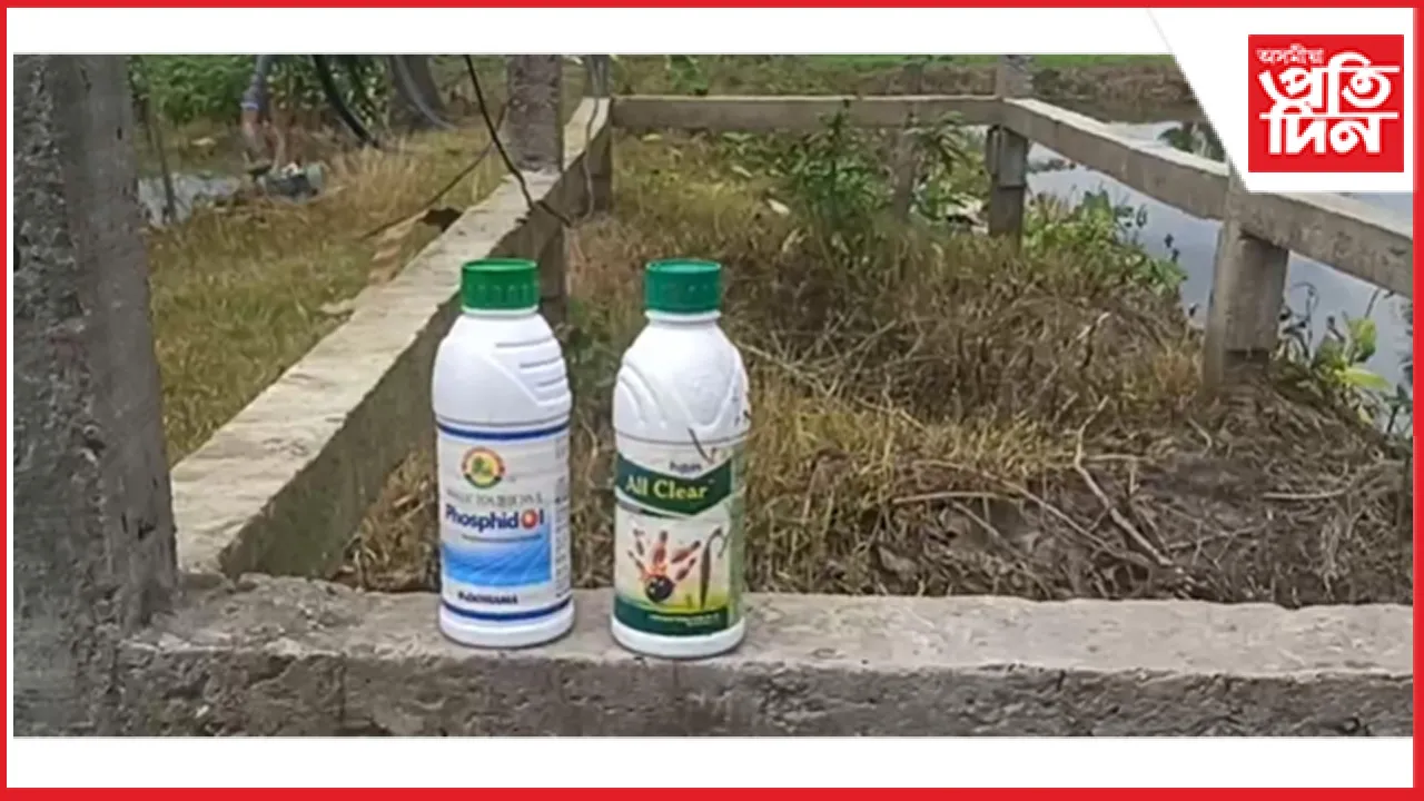 দুষ্টচক্ৰৰ বিষাক্ত কীটনাশক প্ৰয়োগৰ ফলত কেইবাটিও গোধনে হেৰুৱালে প্ৰাণ...