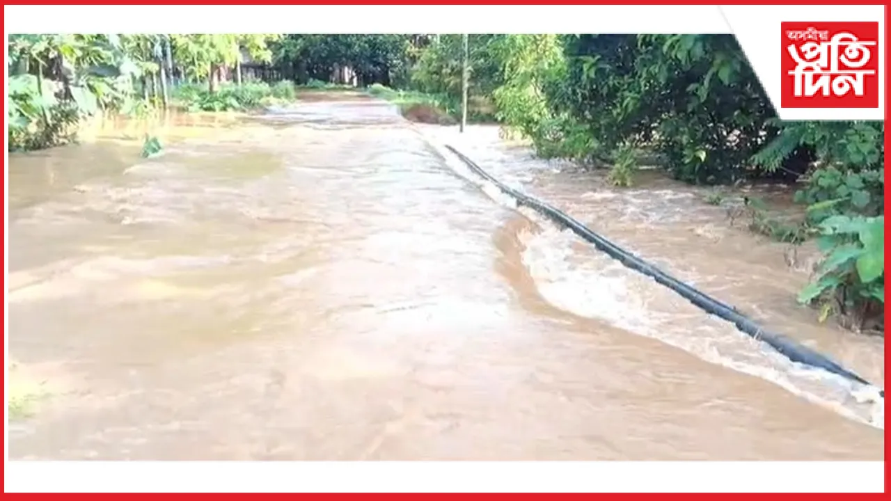 বানৰ কৱলত কচুৱাৰ বিস্তীৰ্ণ অঞ্চলঃ কৃষি ভূমি, বাসগৃহ আদি পানীৰ তলত