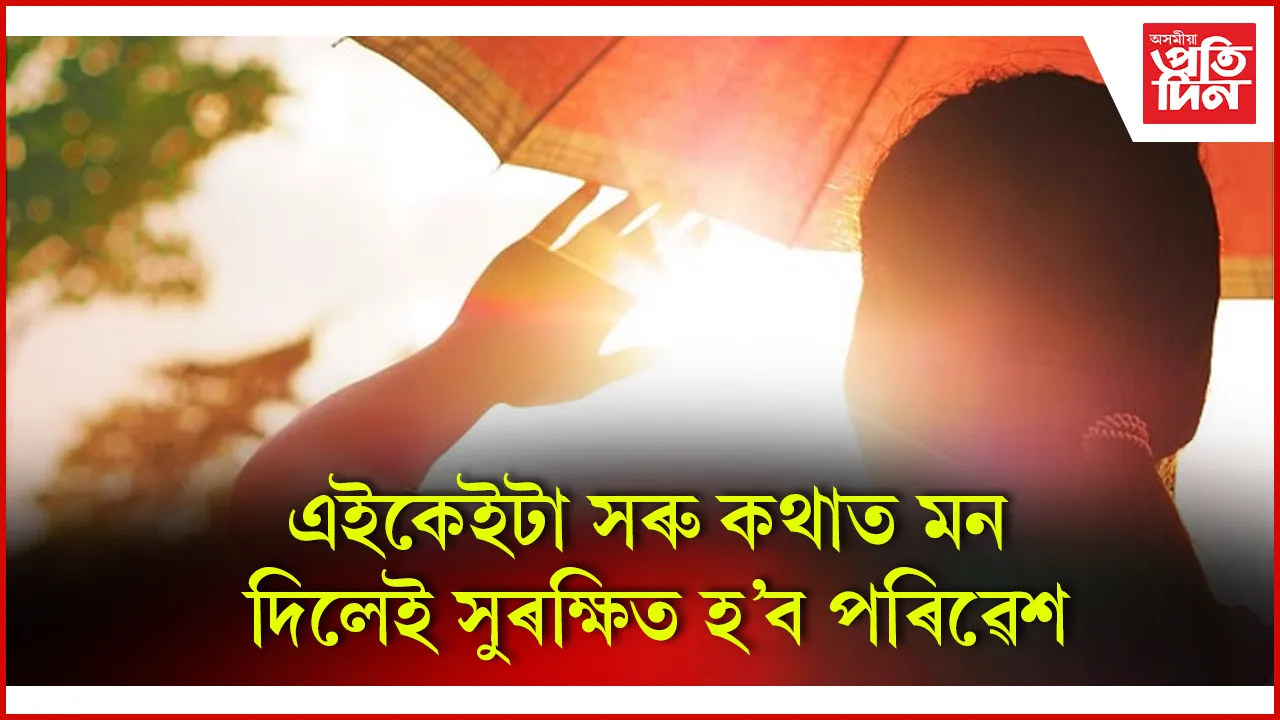 seo পৰিৱেশ web