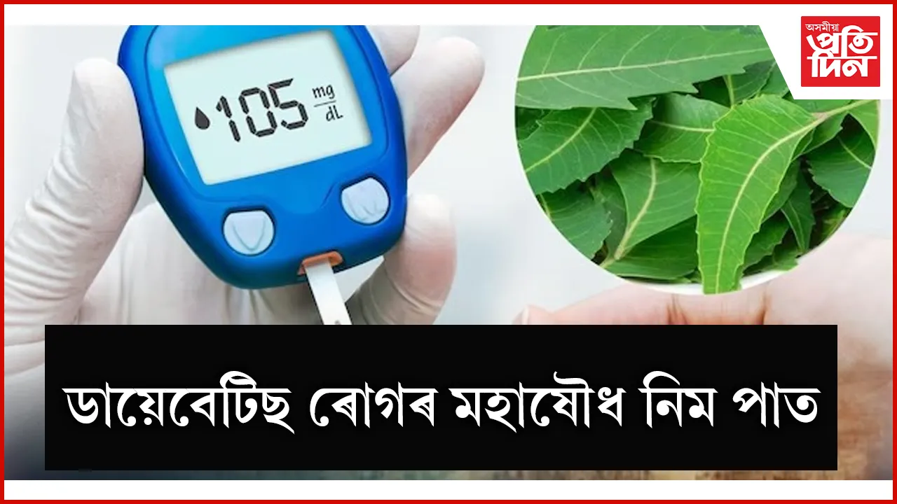 ডায়েবেটিছ seo