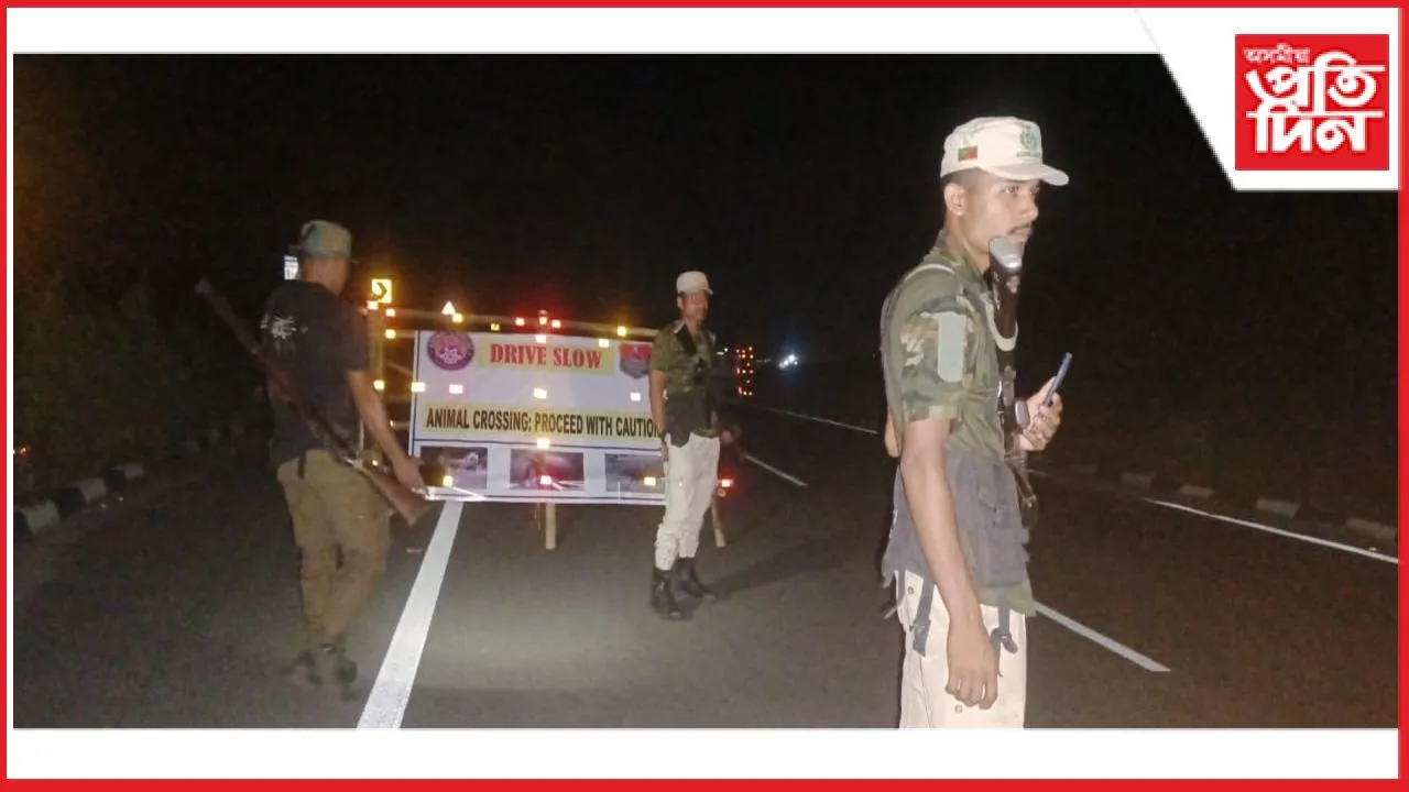 বন বিভাগৰ নৈশ টহল 