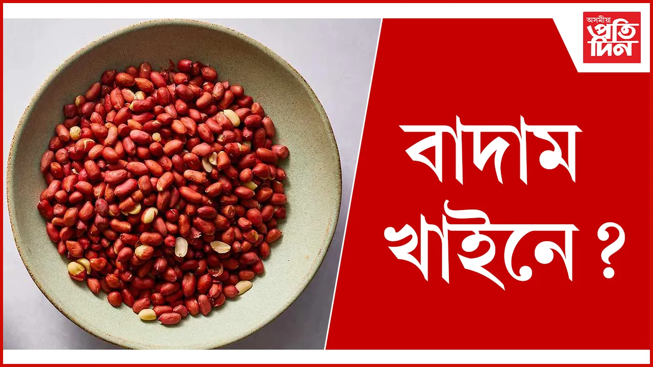বাদাম seo