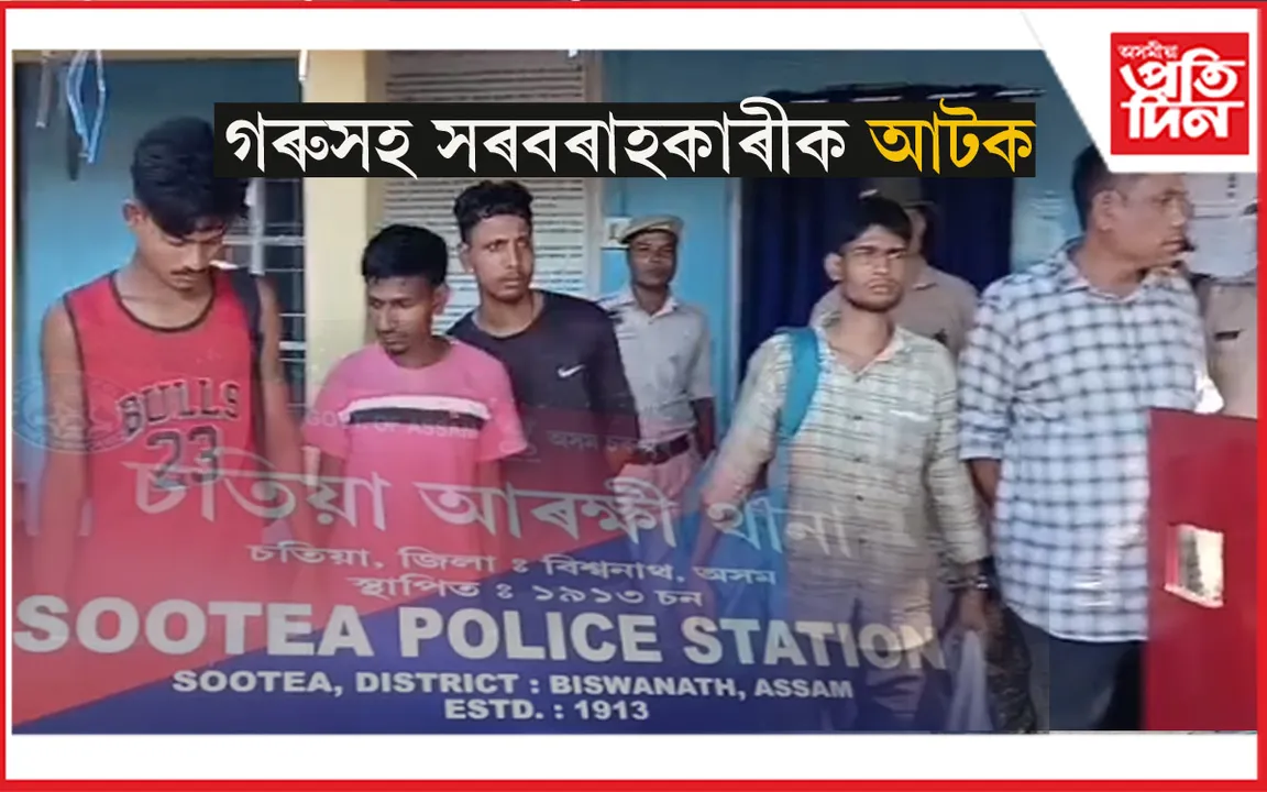 ২৮টা গৰু জব্দ