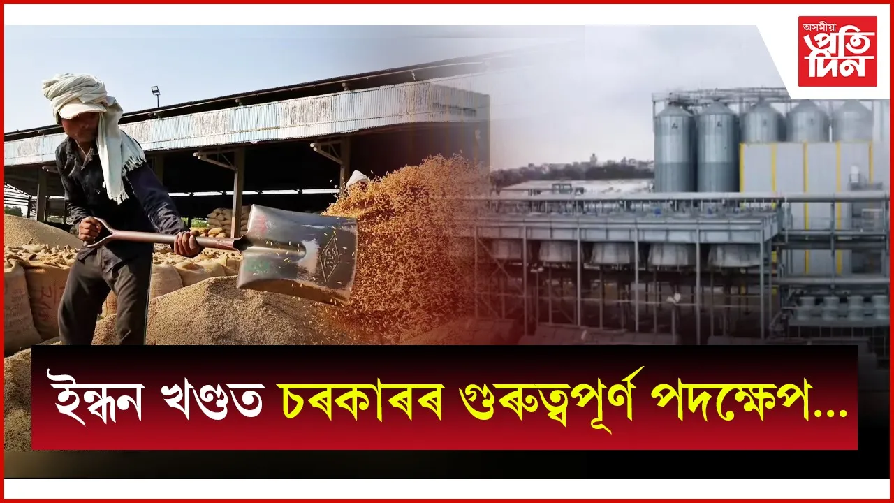 WhatsApp Image 2025-06-27 at 11.05.58 AM