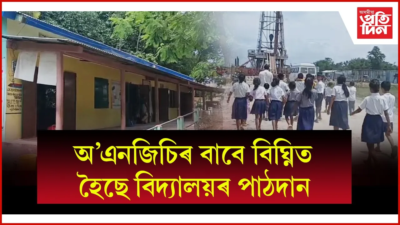 WhatsApp Image 2025-06-28 at 12.18.48 PM