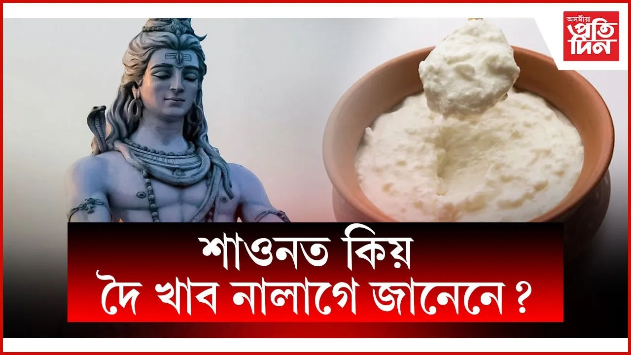 web ap dahi
