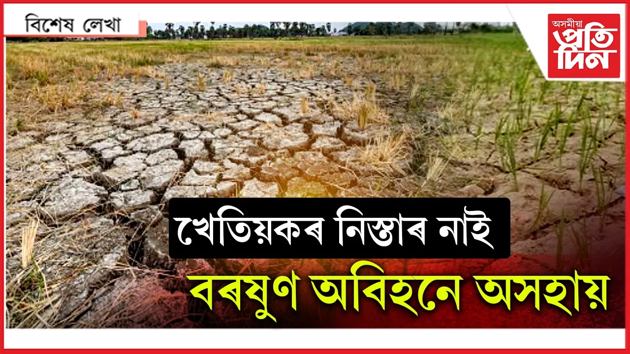 খৰাং পথাৰত মেলিছে চিৰাল ফাটঃ জলসিঞ্চন বিভাগৰ নাই মুখৰ মাত...