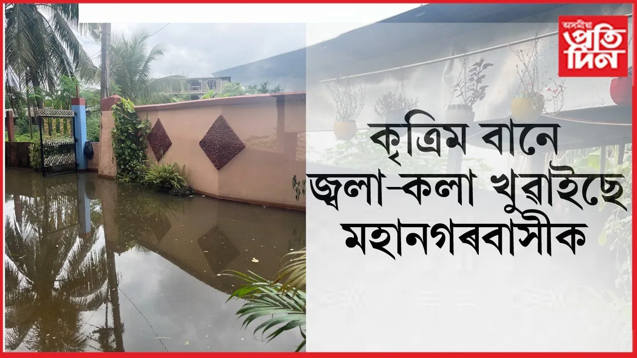 WhatsApp Image 2025-07-25 at 9.34.39 PM